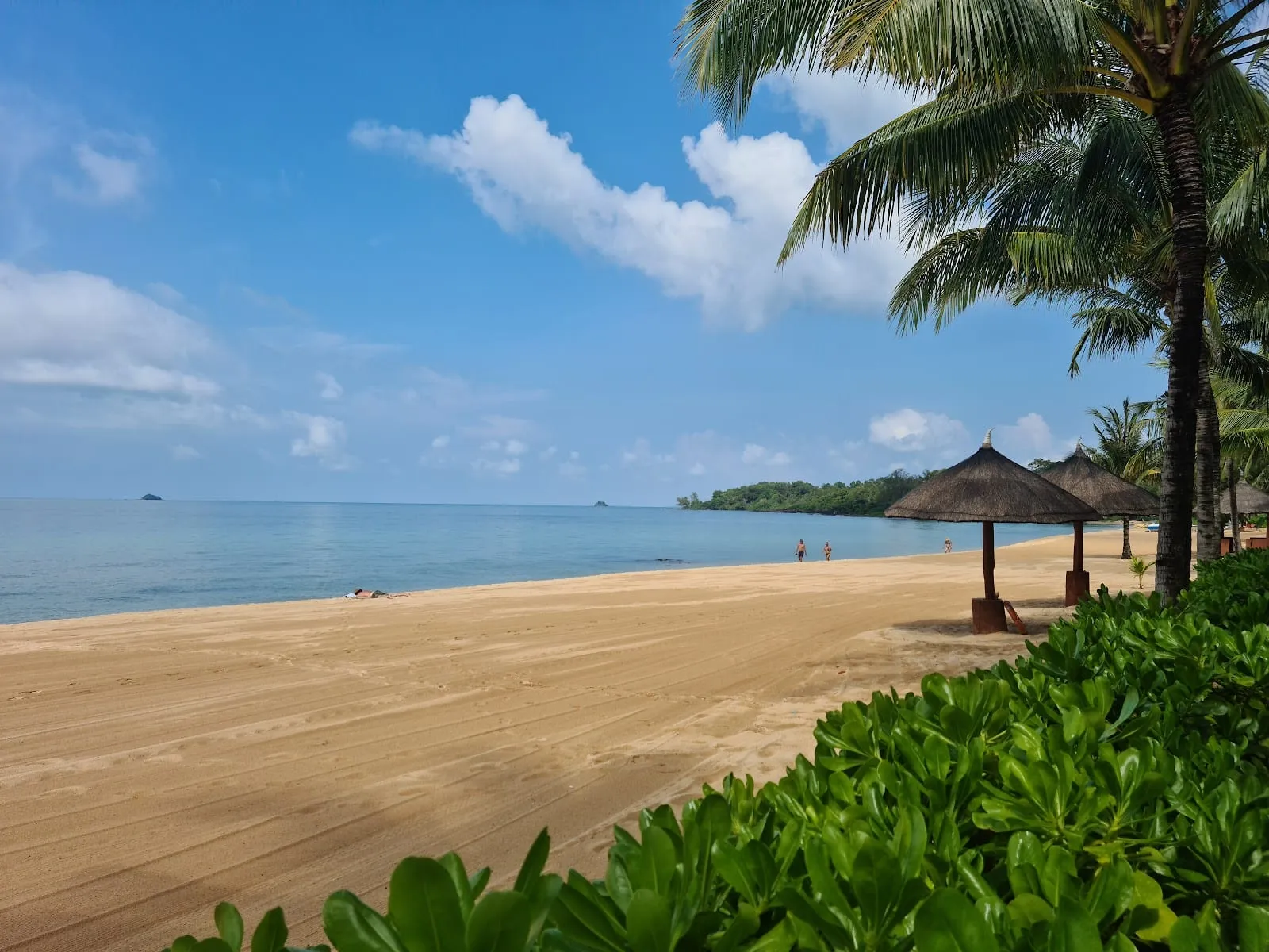 Golden sand, palms and thatched umbrellas on Bai Dai beach, Phu Quoc