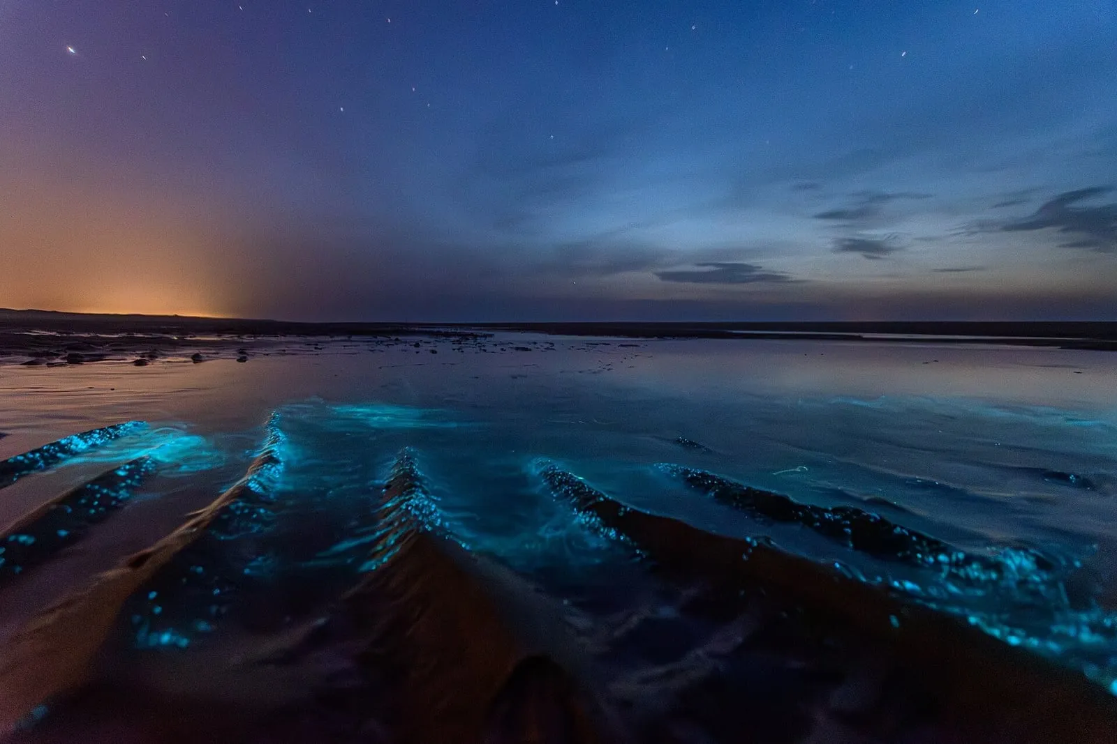 Blue bioluminescence glowing in the shallows of a beach at dusk (Norderney, Germany — not Phu Quoc)