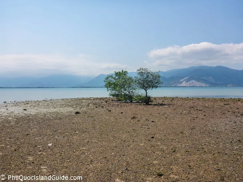 diep son island in low tide