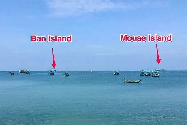 ban island mouse island