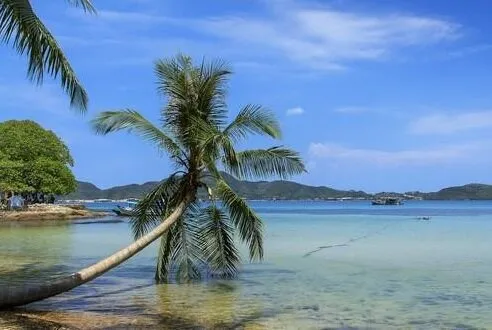 A tropical beach scene with a palm tree leaning over clear turquoise water, a sandy shore, and distant green hills under a bright blue sky.