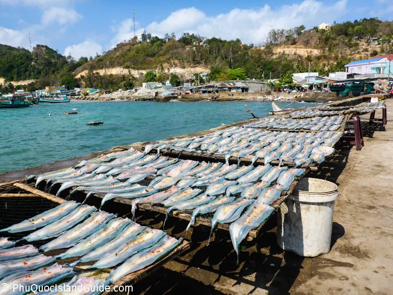 Rows of fish laid out on wooden racks to dry on a concrete pier next to a bay with turquoise water, fishing boats, and houses on a green hillside under a blue sky.