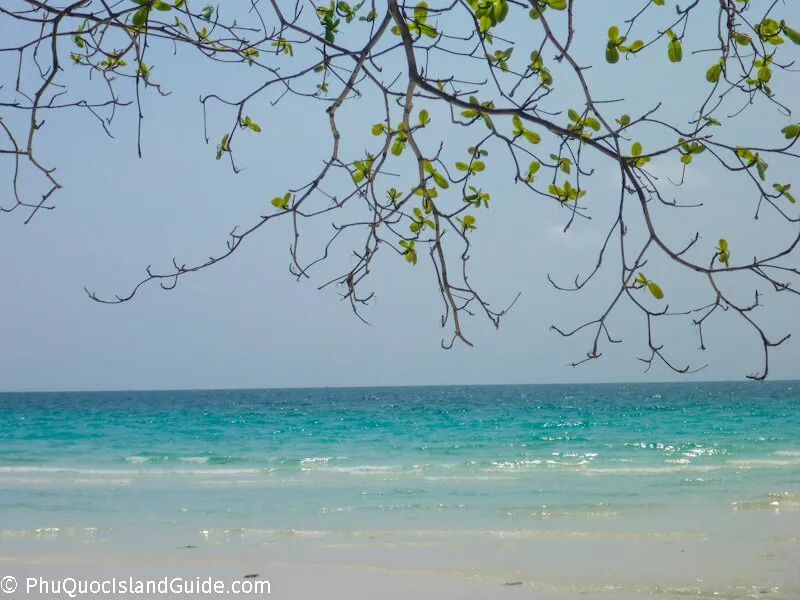 View of a tropical beach with clear turquoise ocean water and white sand, framed by tree branches with green leaves against a bright blue sky.