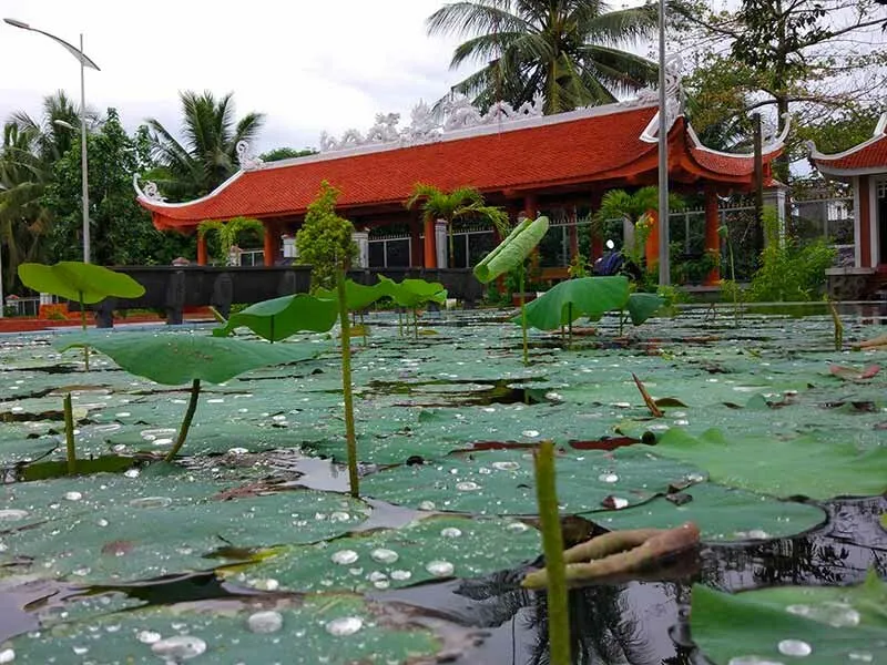 A pond covered with green lotus leaves and water droplets in the foreground, with a traditional red-roofed building and palm trees in the background.