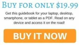 Advertisement banner for a digital guidebook priced at $19.99, with text ‘BUY FOR ONLY $19.99’ and a prominent ‘BUY IT NOW’ button.