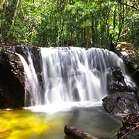 Tranh Waterfall