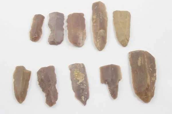 A collection of ten ancient stone tools or flakes, varying in size and shape, made from brown and reddish-brown stone, arranged on a white background.