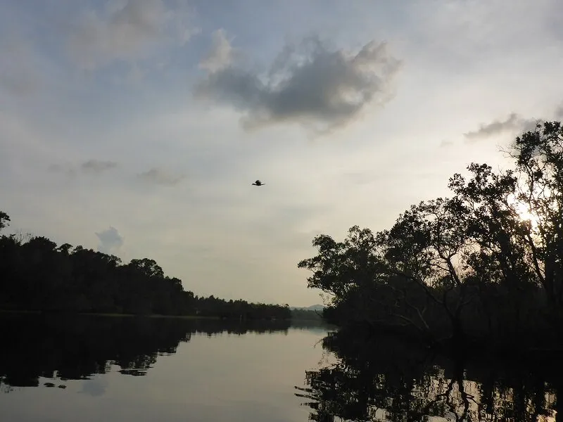 A serene river or lake at dusk or dawn, flanked by dense tropical trees. A bird flies in the cloudy sky, with sunlight peeking through the foliage on the right.
