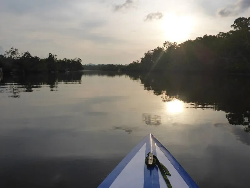 A boat on a calm river or canal at sunrise or sunset, surrounded by lush green tropical trees, with the sun reflecting on the water.