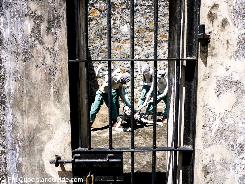 French Tiger Cages