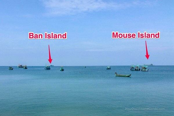 ban island mouse island