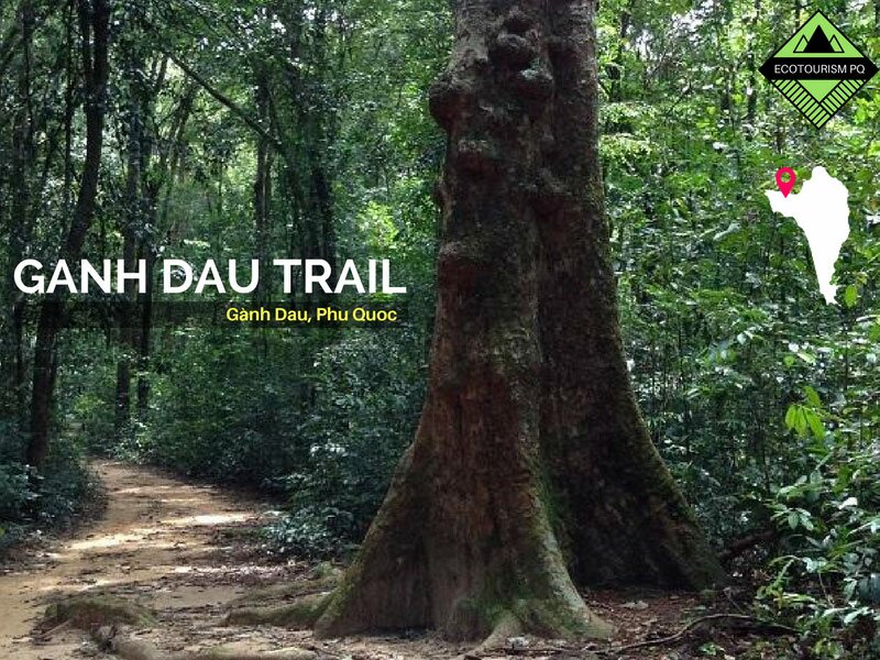ganh dau trail