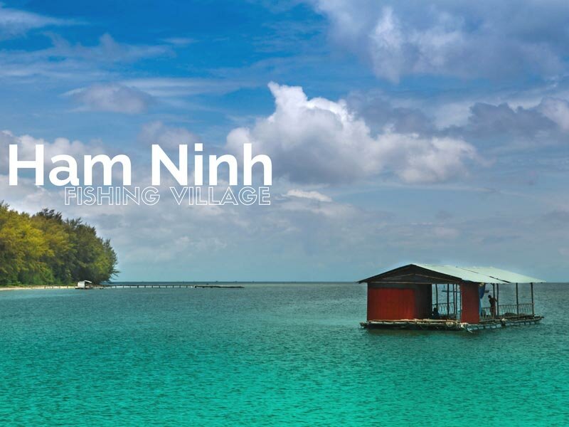 ham ninh