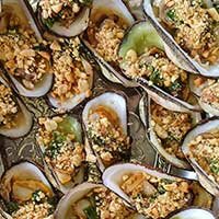 grilled oysters