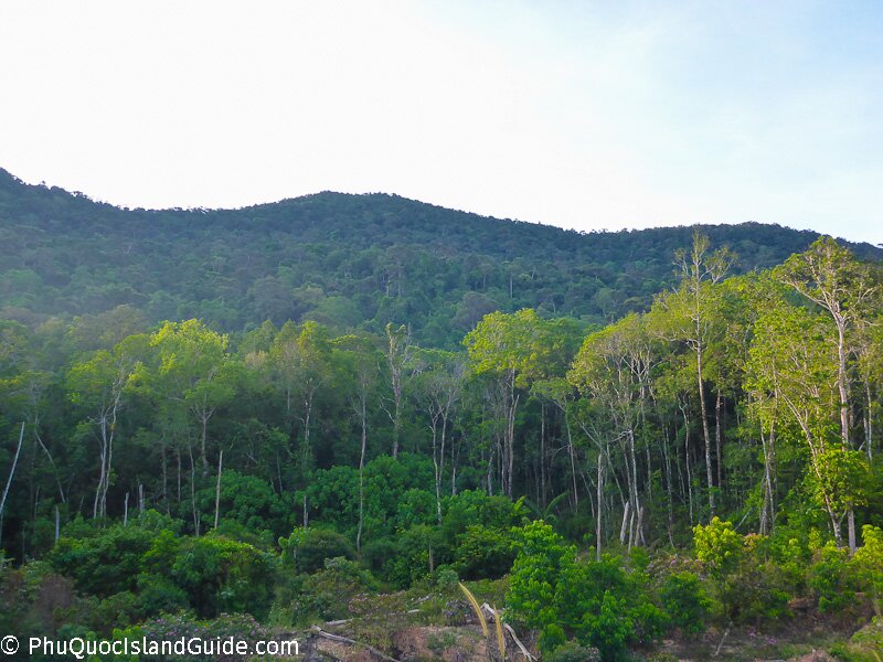 Phu Quoc National Park