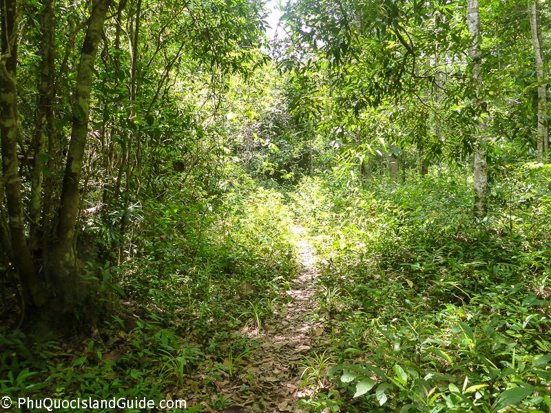 phu quoc national park trek