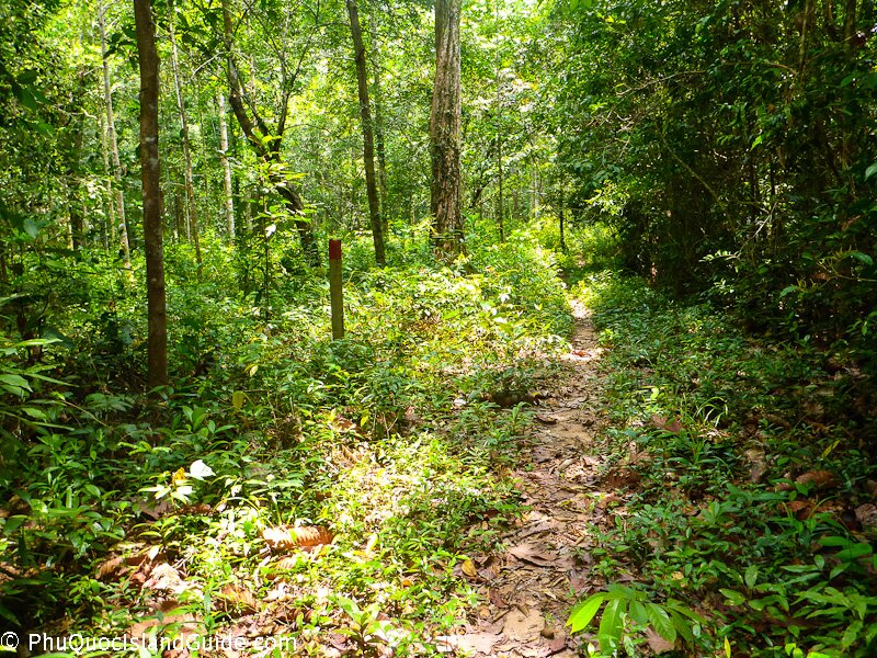 phu quoc national park hiking