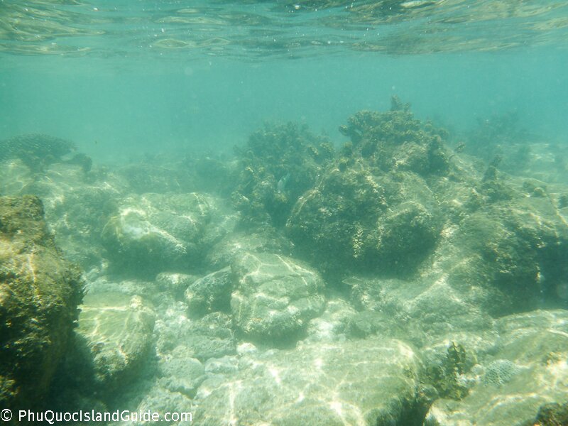 snorkeling in phu quoc