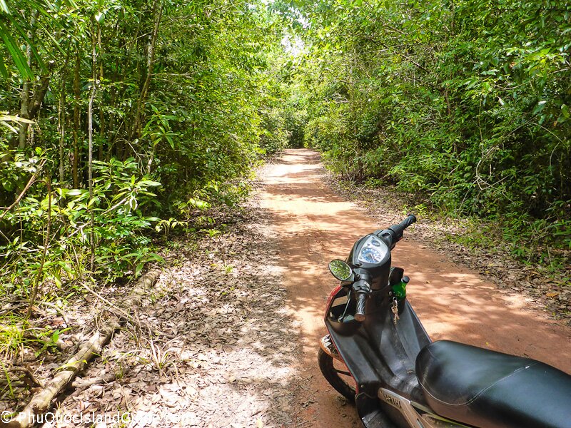 trekking in phu quoc