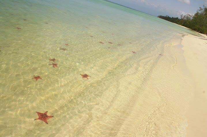starfish beach on Phu Quoc Island