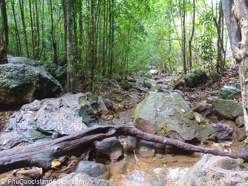 tranh stream phu quoc